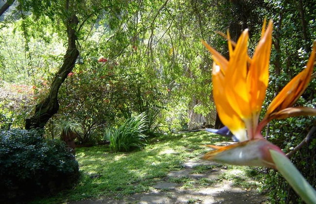 Hollywood Hills Canyon Breezes - Photo 27