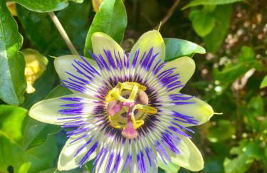 2026 Traveller award winner Just bring clothes - Foto 52