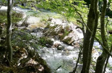 Casa Antonia - Foto 21