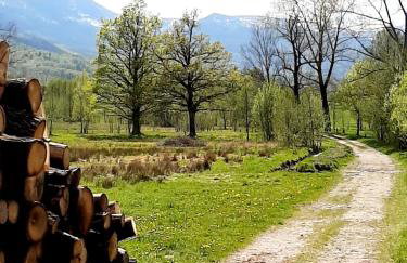 Apartament Sasanka - Foto 31