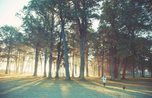 Pałac Brunów - Wellness & SPA - Foto 61