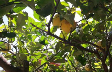 Tigullio Vacations panoramica apartments - Foto 39