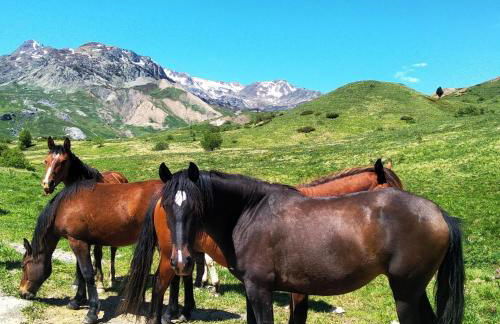 El Estacho de Panticosa - Photo 28