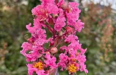 Costa Brava Paradís - Foto 40