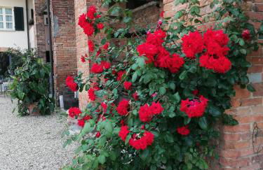 La Giribaldina Winery & Farmhouse - Foto 66