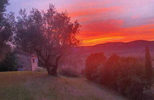 Villa in Agello - Photo 37