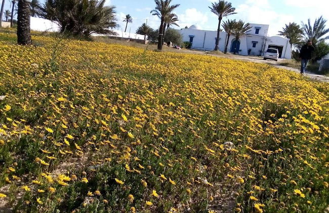 Houch La Driba - Foto 21