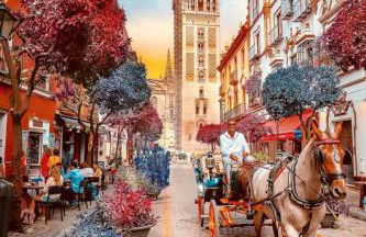 Ole triana - Photo 34