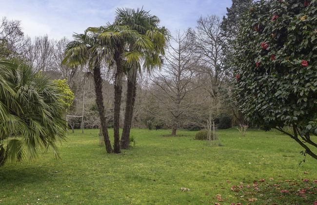 Le chant des milans - Foto 16