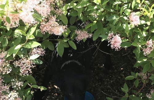 Casa El Encuentro - Turégano Segovia - Foto 27