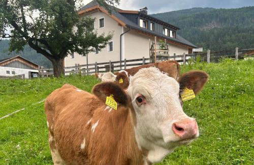 Obermairhof - Foto 10