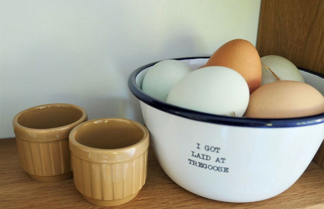 The Wriggly Tin & Baa Spa at Tregoose Old Mill - Foto 7