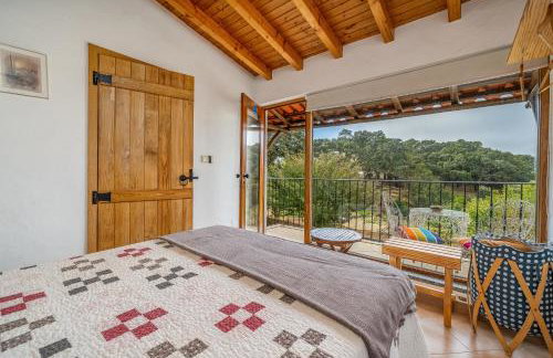 Horta Do Zé Miguel - Foto 39