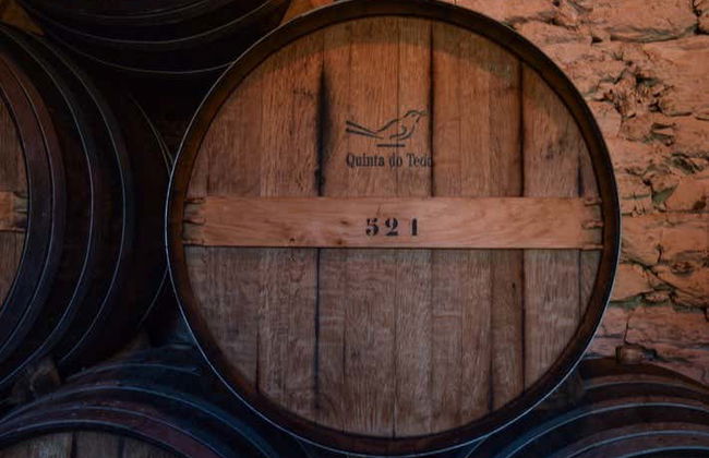 Visita à adega Quinta do Tedo - Foto 8