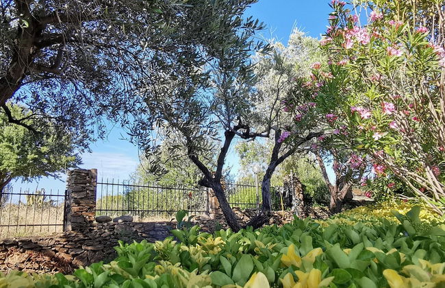 Welcomely - La Casa Di Rita - Sa Capannizza - Photo 27