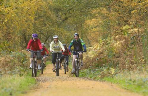 Stable Cottage - Foto 24