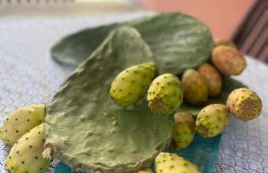 Villa Agapanthus - Foto 21