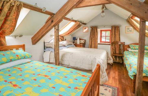 Felin Iago - Foto 20