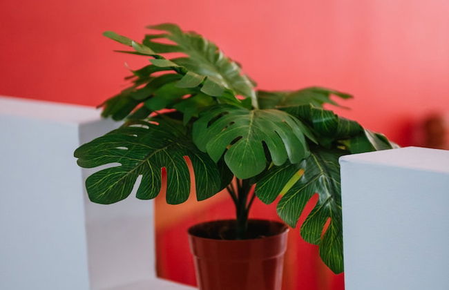 Apart Hotel Andino - Foto 15