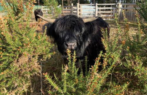 Pumping Station Holidays - Foto 58