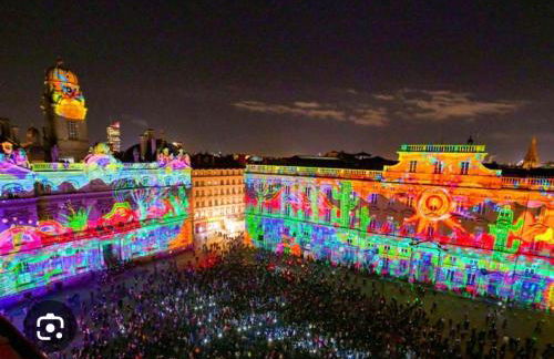 Cosy Decines Groupama Stadium-LDLC Arena Climatisé - Foto 28