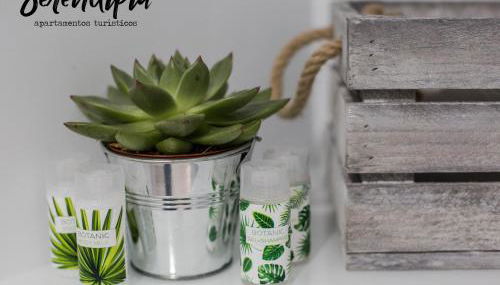 Serendipia San Justo - Foto 4