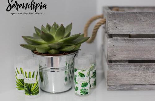 Serendipia San Justo - Foto 4