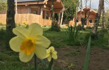 Braisty Woods - Knotty & Nice - Foto 36