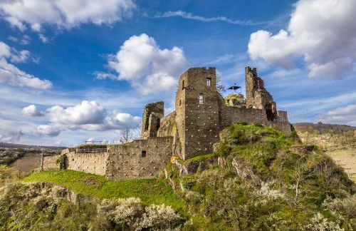 Ferienwohnungen Assenmacher mit Sauna - Foto 22