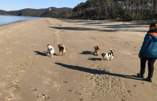 Agriturismo Il Sorbino - Appartamento da Cocca - Foto 18