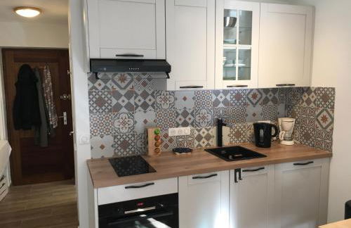 Studio Valberg face aux pistes - Foto 10