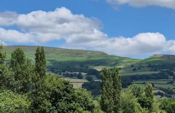 Little Plas - Foto 4