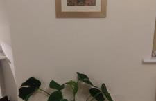 The Parkview House - Foto 11