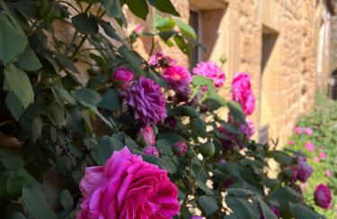 Appartement de charme - Foto 7