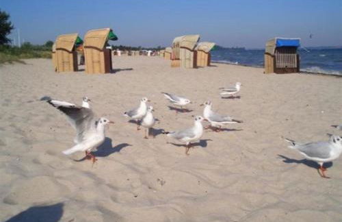 Smucke Stuuv I - Foto 16