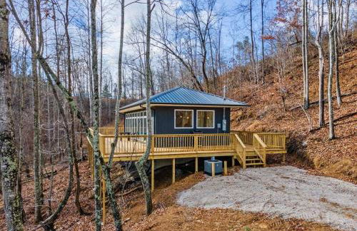 Primrose - Cave Run Lake OR Red River Gorge KY - Foto 1