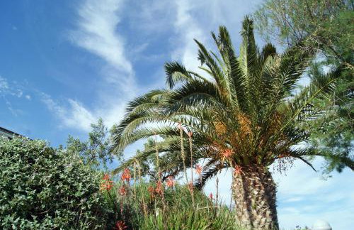 Apartmani Braco Caratan - Foto 16