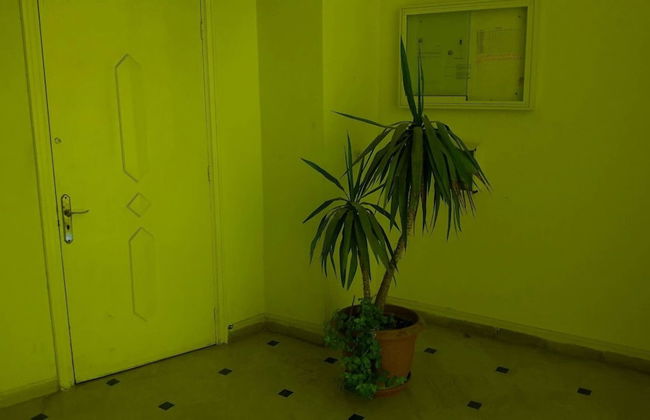 Rent Apartment In Tunis - Foto 28