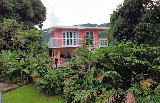 El Yunque Rainforest - Photo 3
