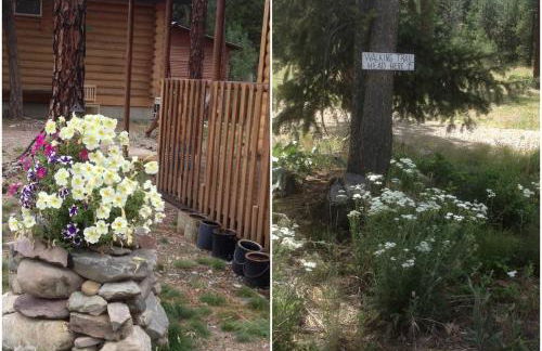 Cozy Log Cabin Rental in a Secluded Forest in Mineral County, Montana - Foto 4