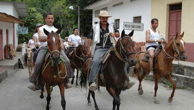 Tobia Horse Riding Tour - Foto 3