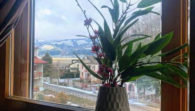 Brain Residence Laceno - Foto 4