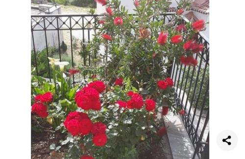 Anna maria - Foto 12