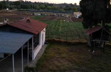 Afroditi Country Residence - Photo 30