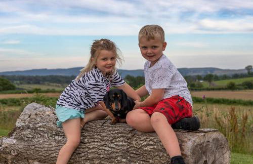 Blaenplwyf Shire Pods - Foto 40