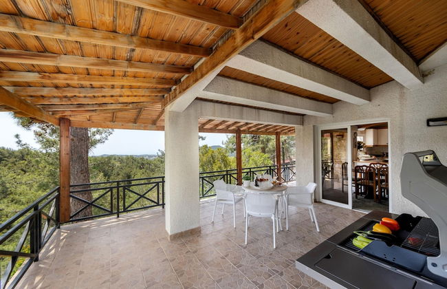 Platres Forest Panorama - Foto 38