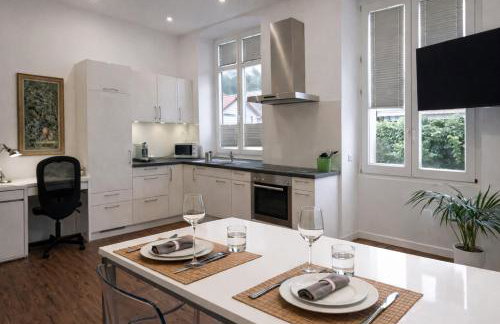 NEWTON - für Business & längere Aufenthalte, nahe der Schweiz - Foto 2