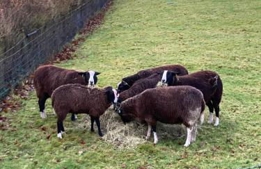 Penny End, Mosser - Western Lakes and great walks - Foto 24