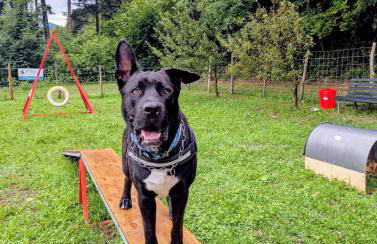 Le Scuderie di Casa Bernardi, stile e comfort con Sauna Finlandese - Foto 30