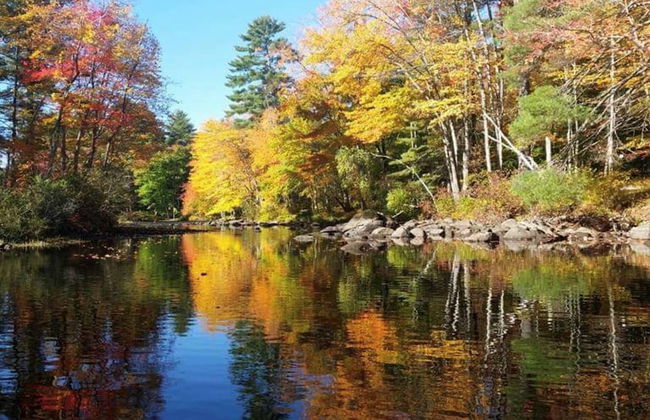 Riverside Charm - Photo 32